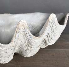 Load image into Gallery viewer, Clam Shell Sculpture Large