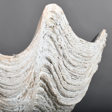 Indlæs billede til gallerivisning Clam Shell Sculpture Large