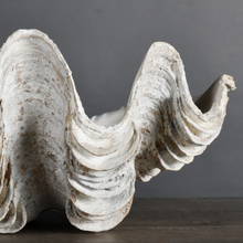 Load image into Gallery viewer, Clam Shell Sculpture Small