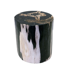 Load image into Gallery viewer, Petrified Wood Side Table