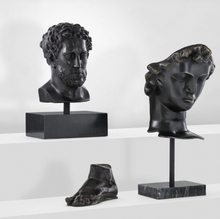 Indlæs billede til gallerivisning Alexandrie Head Sculpture