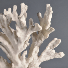 Load image into Gallery viewer, Tall Stony Coral Specimen