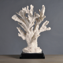 Load image into Gallery viewer, Tall Stony Coral Specimen