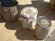 Load image into Gallery viewer, Petrified Wood Side Table