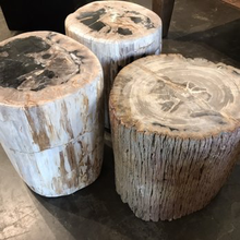 Load image into Gallery viewer, Smooth Petrified Wood Side Table