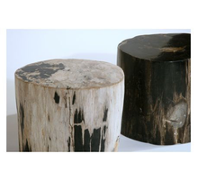 Indlæs billede til gallerivisning Smooth Petrified Wood Side Table