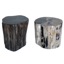 Load image into Gallery viewer, Smooth Petrified Wood Side Table